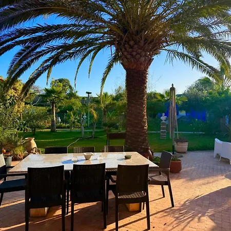 Domaine Des Mimosas-2